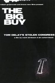 The Big Buy Tom DeLays Stolen Congress' Poster