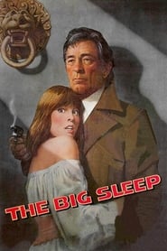 The Big Sleep' Poster