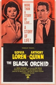The Black Orchid' Poster