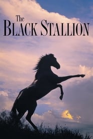 Streaming sources forThe Black Stallion