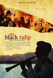 Streaming sources forThe Black Tulip