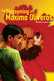 The Blossoming of Maximo Oliveros' Poster