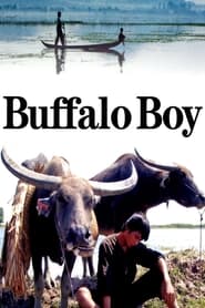Buffalo Boy' Poster
