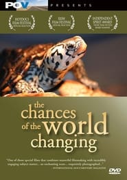The Chances of the World Changing' Poster