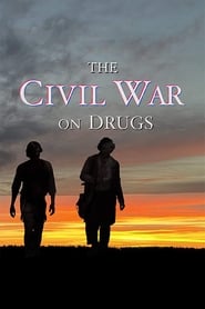 The Civil War on Drugs' Poster