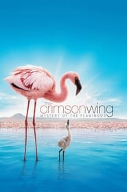 Streaming sources forThe Crimson Wing Mystery of the Flamingos