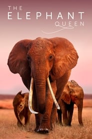 Streaming sources forThe Elephant Queen