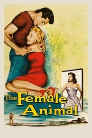 The Female Animal' Poster