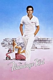 The Flamingo Kid' Poster