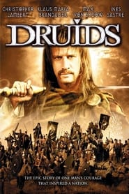 Druids' Poster