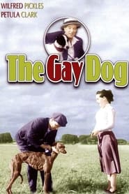 The Gay Dog' Poster