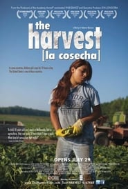 The Harvest La Cosecha' Poster