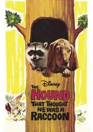 The Hound That Thought He Was a Raccoon' Poster