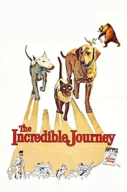 The Incredible Journey' Poster