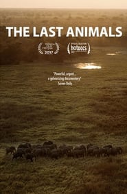 Streaming sources forThe Last Animals