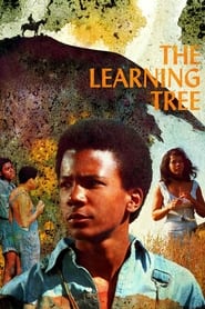 Streaming sources forThe Learning Tree