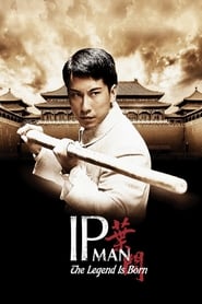Streaming sources forThe Legend Is Born Ip Man