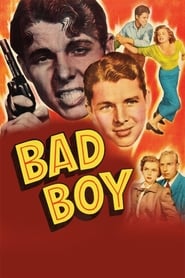 Bad Boy' Poster