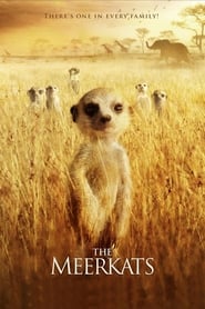 The Meerkats' Poster