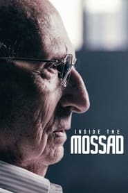 The Mossad Imperfect Spies' Poster