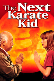 Streaming sources forThe Next Karate Kid