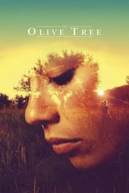 Streaming sources forThe Olive Tree