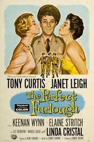 The Perfect Furlough' Poster