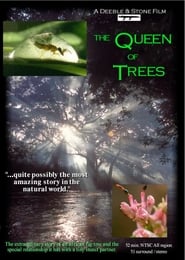 The Queen of Trees' Poster