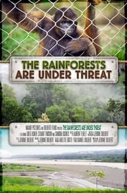 The Rainforests Are Under Threat' Poster
