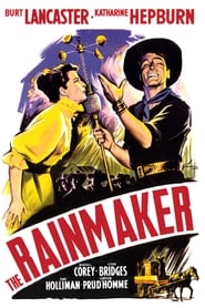 The Rainmaker' Poster