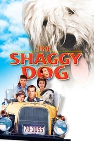 Streaming sources forThe Shaggy Dog