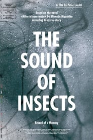 The Sound of Insects Record of a Mummy' Poster
