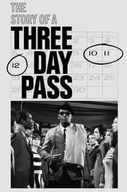 The Story of a ThreeDay Pass