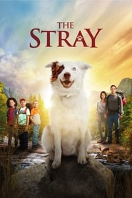 The Stray' Poster