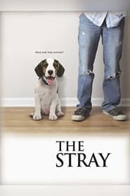 Streaming sources forThe Stray