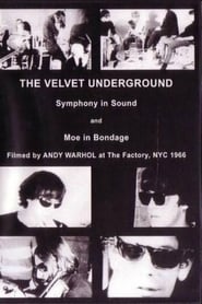 Streaming sources forThe Velvet Underground and Nico A Symphony of Sound