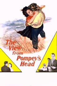 The View from Pompeys Head' Poster