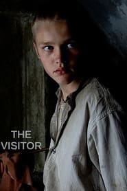 The Visitor' Poster