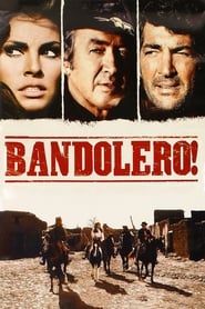 Bandolero' Poster