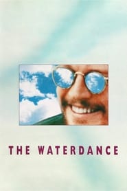 The Waterdance' Poster