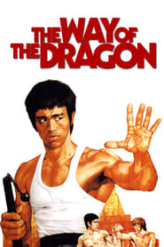 The Way of the Dragon' Poster
