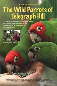 The Wild Parrots of Telegraph Hill' Poster