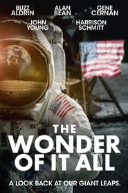 The Wonder of It All' Poster