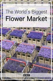The Worlds Biggest Flower Market' Poster