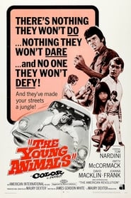The Young Animals' Poster