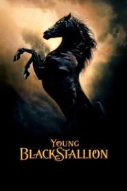 Streaming sources forYoung Black Stallion