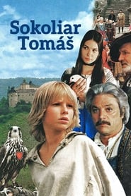 Tom and the Falcon King' Poster