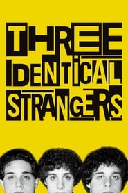 Streaming sources forThree Identical Strangers