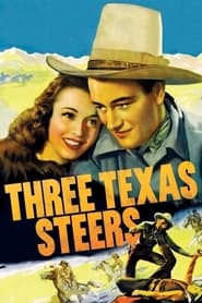 Three Texas Steers' Poster