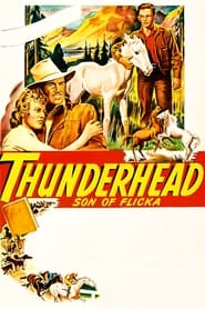 Thunderhead  Son of Flicka' Poster